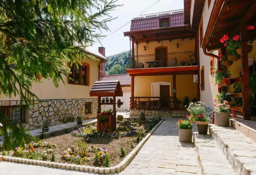 Pensiunea Luka Slanic Moldova