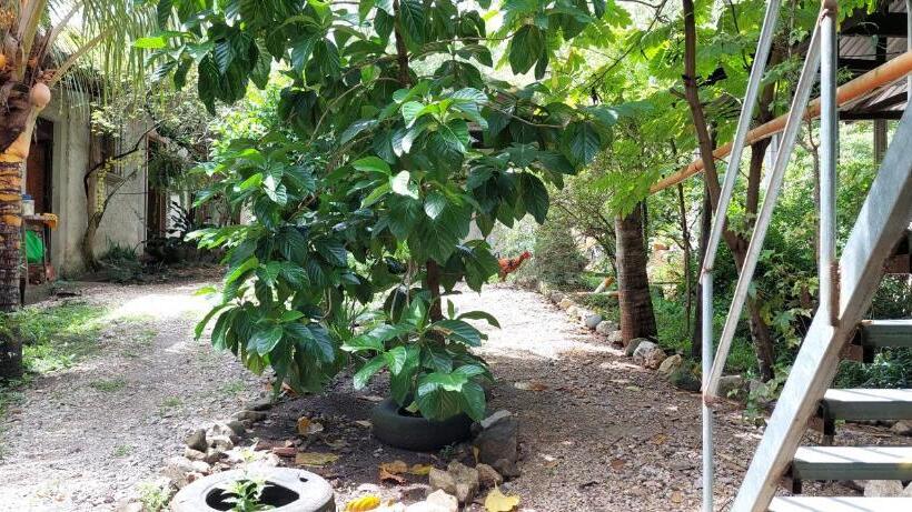 هاستل Yaxlik River Lodge