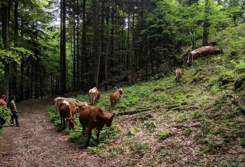 ホテル Pužman Farm Glamping