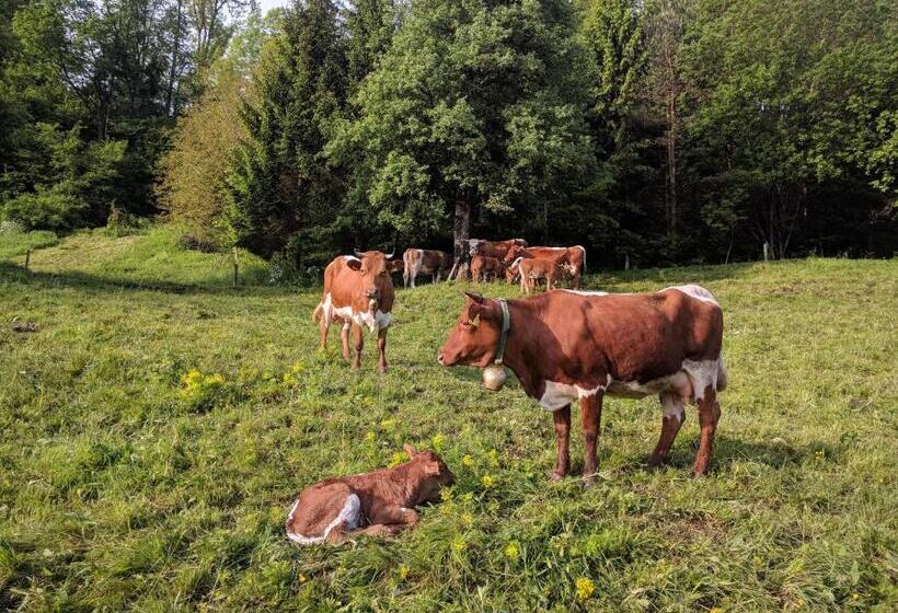ホテル Pužman Farm Glamping
