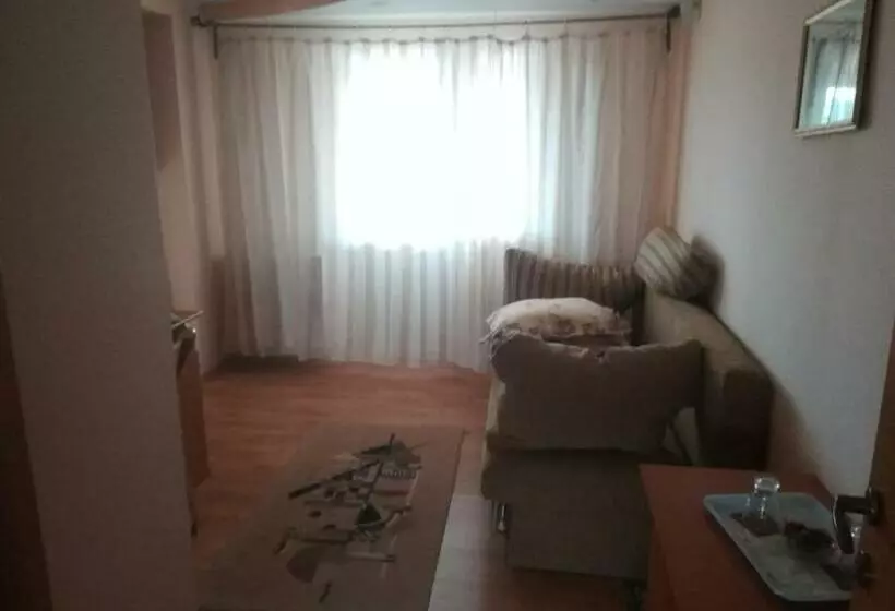 ペンション Casa Alina