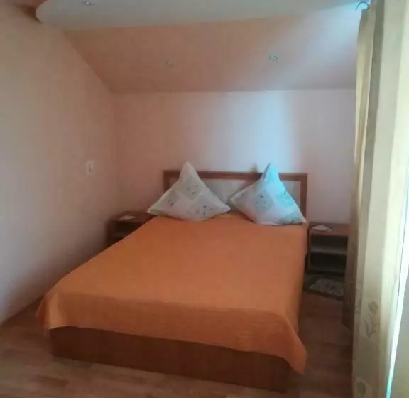ペンション Casa Alina
