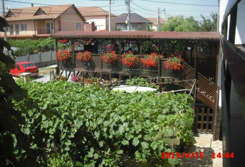 پانسیون Casa Ciobi