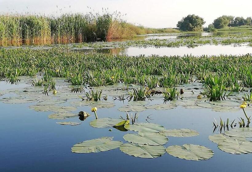 Pensão Casa Iris Murighiol