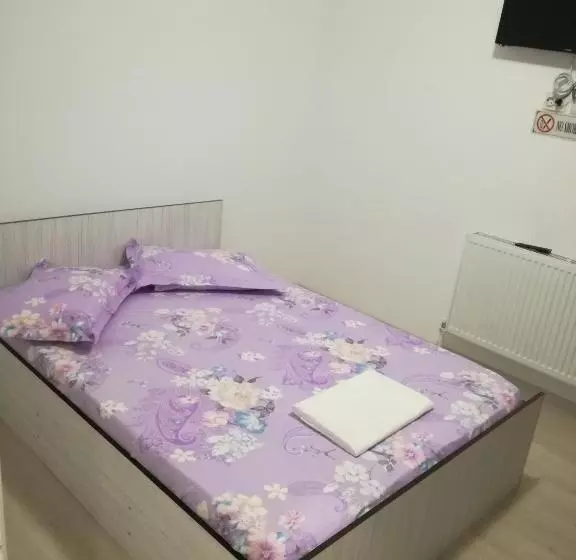 ペンション Yraida S House Constanta