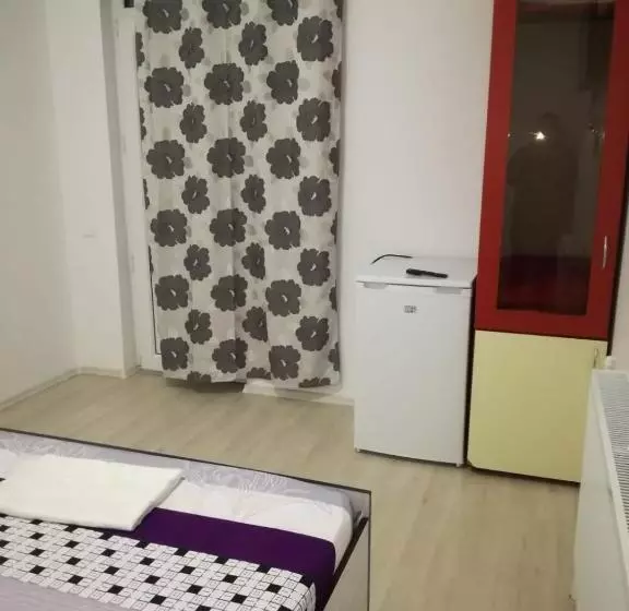 ペンション Yraida S House Constanta