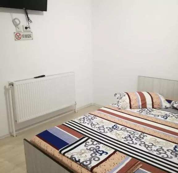 ペンション Yraida S House Constanta