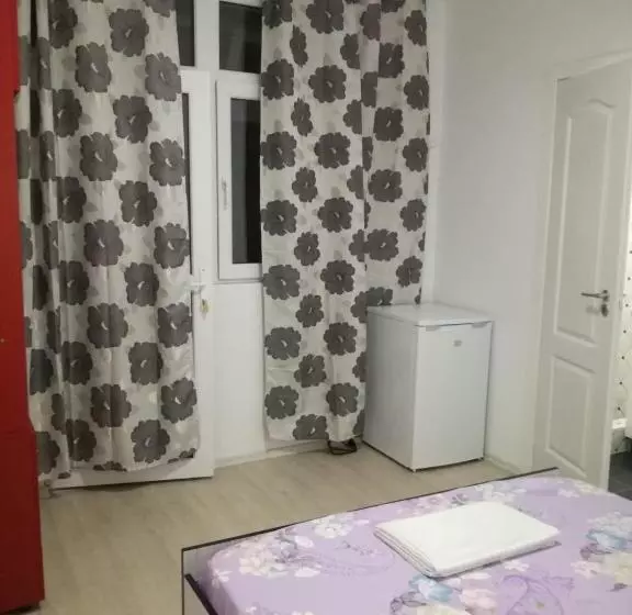 ペンション Yraida S House Constanta