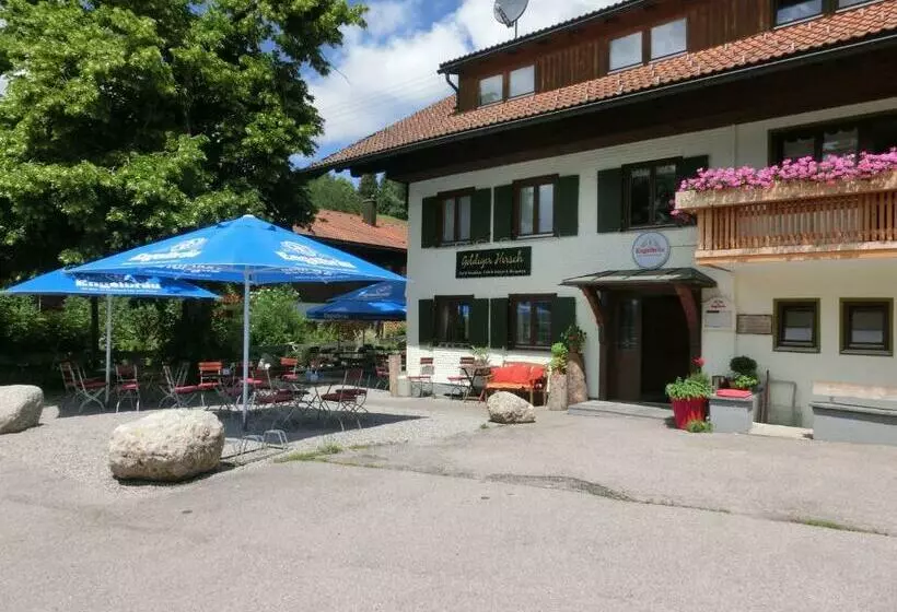 Aamiaismajoitus (B&B) Goldiger Hirsch