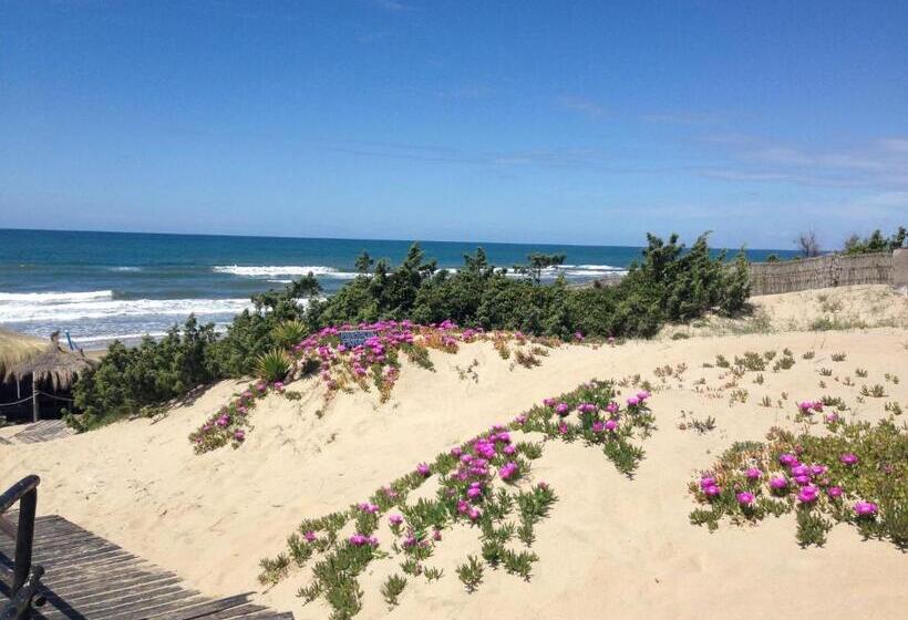 住宿加早餐  Il Brecciaro