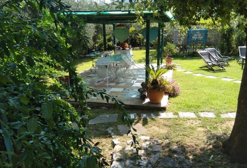 住宿加早餐  Il Brecciaro