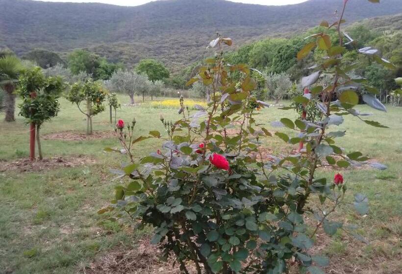 住宿加早餐  Il Brecciaro