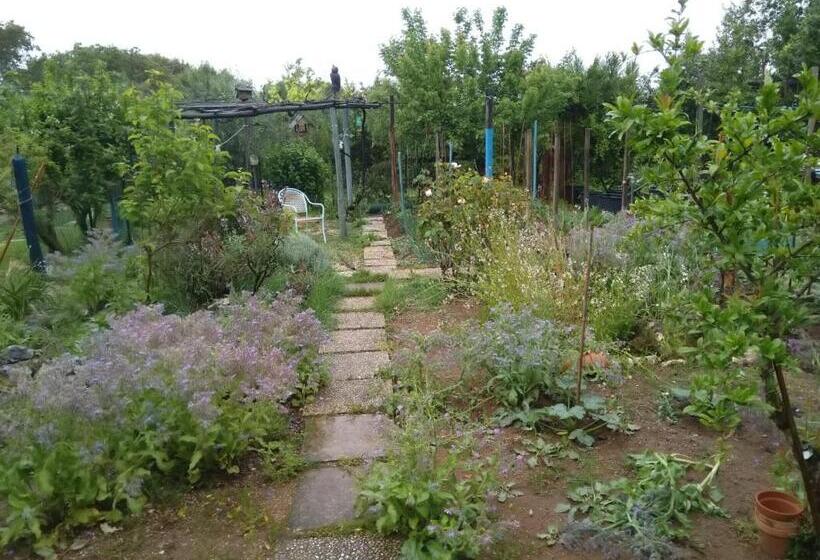 住宿加早餐  Il Brecciaro