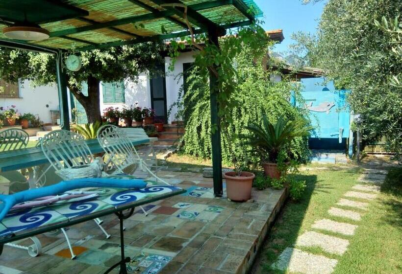 住宿加早餐  Il Brecciaro