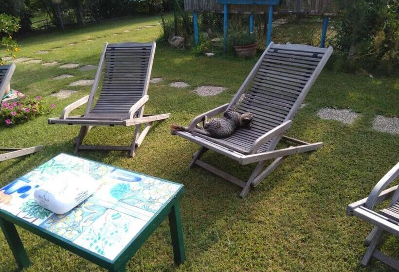 住宿加早餐  Il Brecciaro