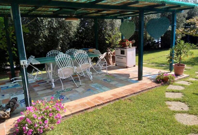 住宿加早餐  Il Brecciaro