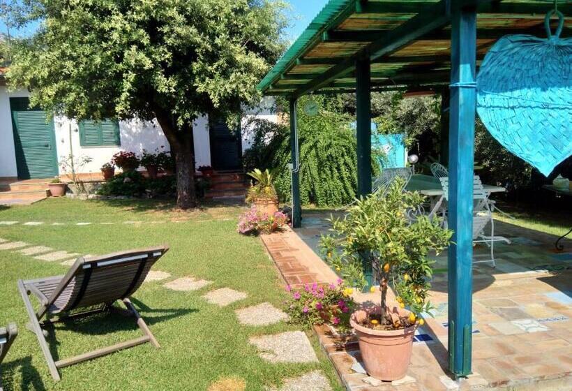 住宿加早餐  Il Brecciaro