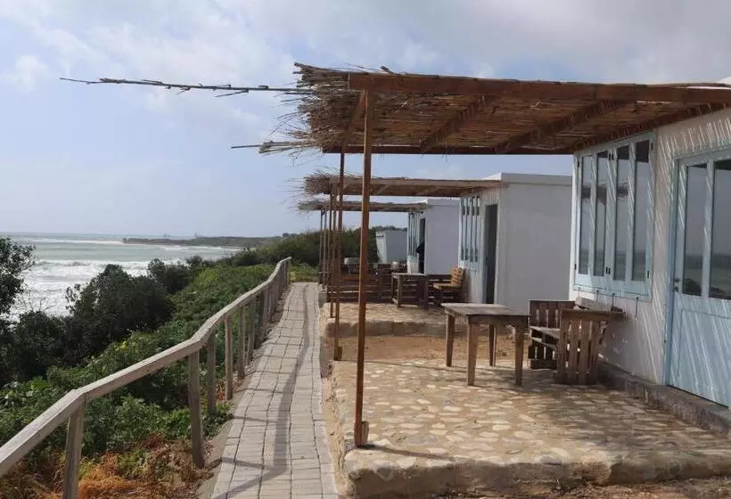 Aamiaismajoitus (B&B) Summer Dream Cyprus