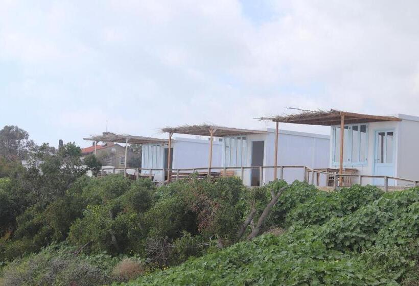 Bed and Breakfast Summer Dream Cyprus