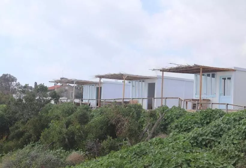 Aamiaismajoitus (B&B) Summer Dream Cyprus