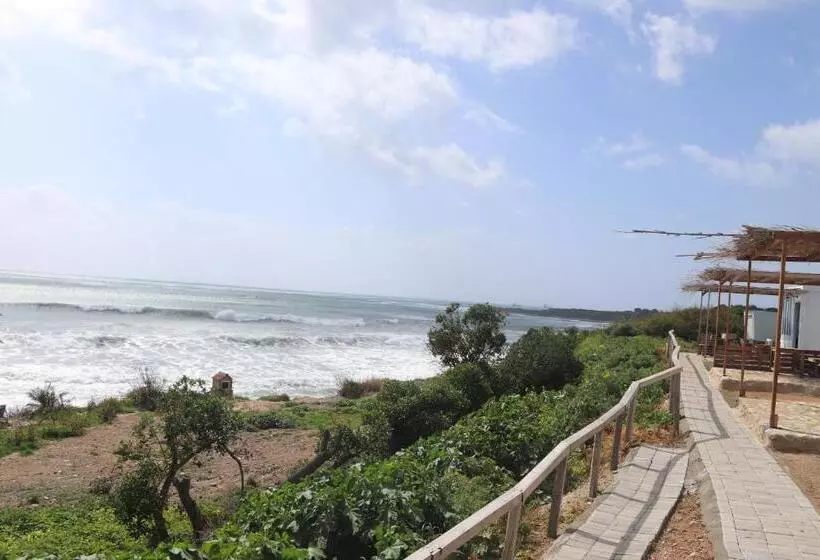 Aamiaismajoitus (B&B) Summer Dream Cyprus