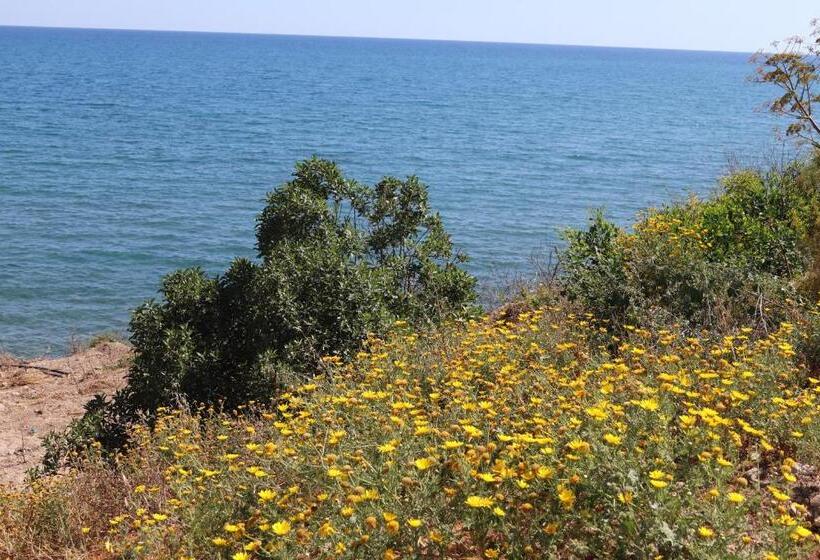 Bed and Breakfast Summer Dream Cyprus