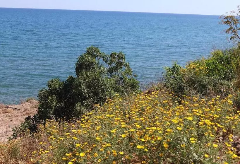 Aamiaismajoitus (B&B) Summer Dream Cyprus