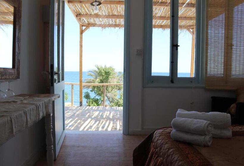 Bed and Breakfast Summer Dream Cyprus