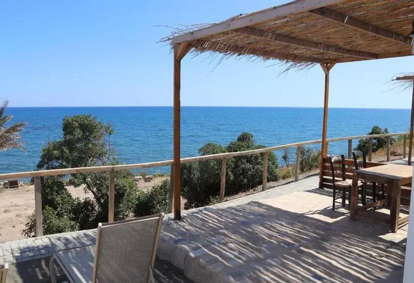 Aamiaismajoitus (B&B) Summer Dream Cyprus