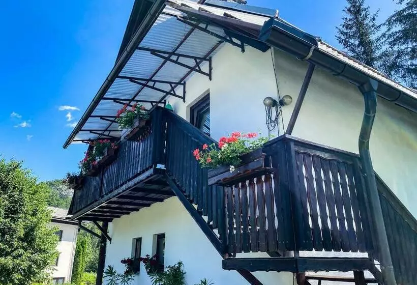 پانسیون Apartment Ticar