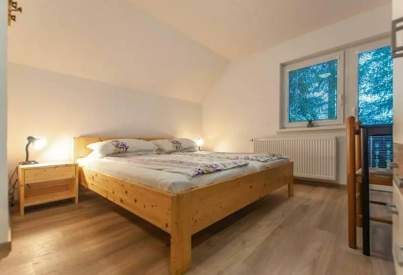 پانسیون Apartment Ticar