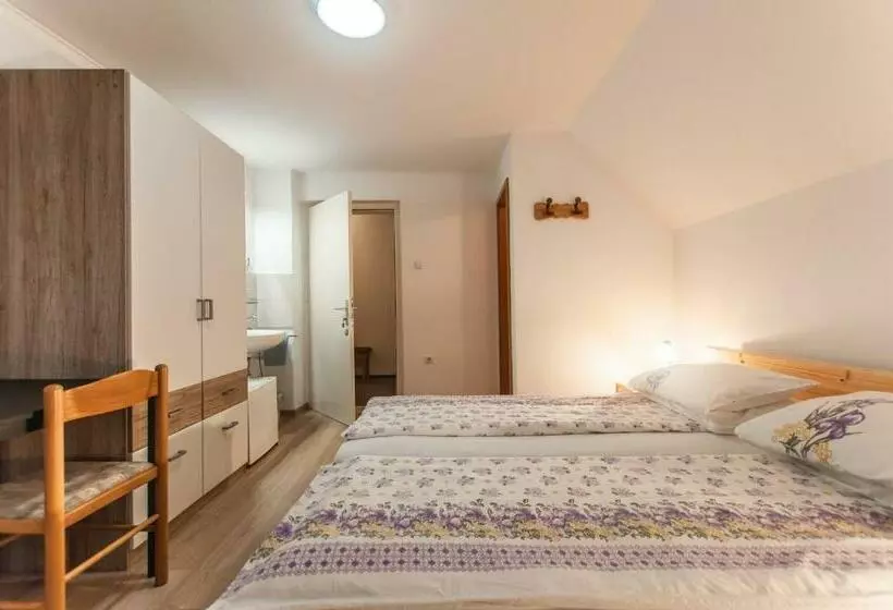 پانسیون Apartment Ticar
