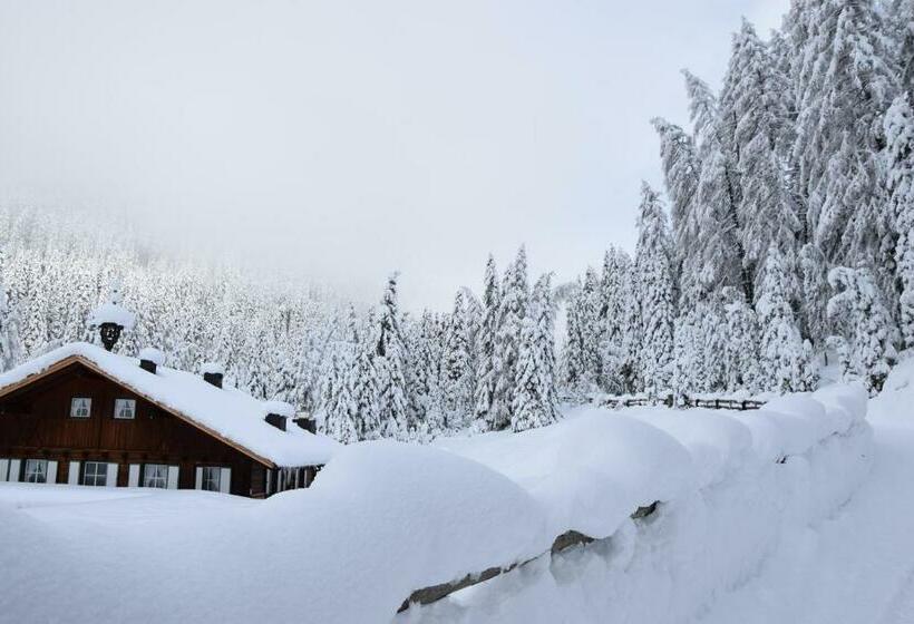 渡假胜地  Badl Im Mühlbacher Talile