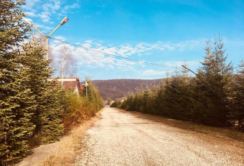 渡假胜地  Mojo Beach