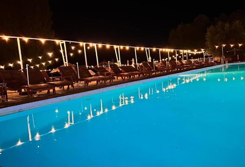 渡假胜地  Mojo Beach