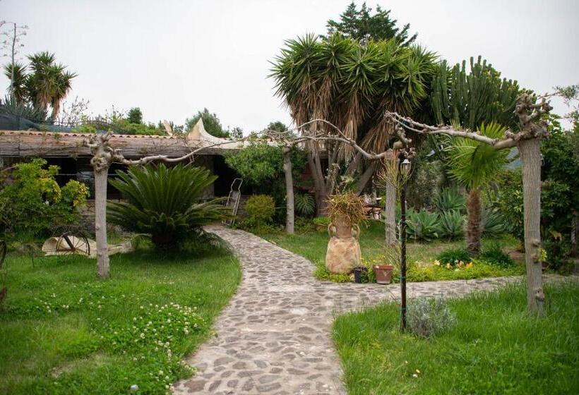 B&b Il Giardino