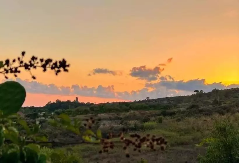 B&b La Terra Di Parmenide