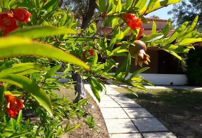 B&b La Terra Di Parmenide