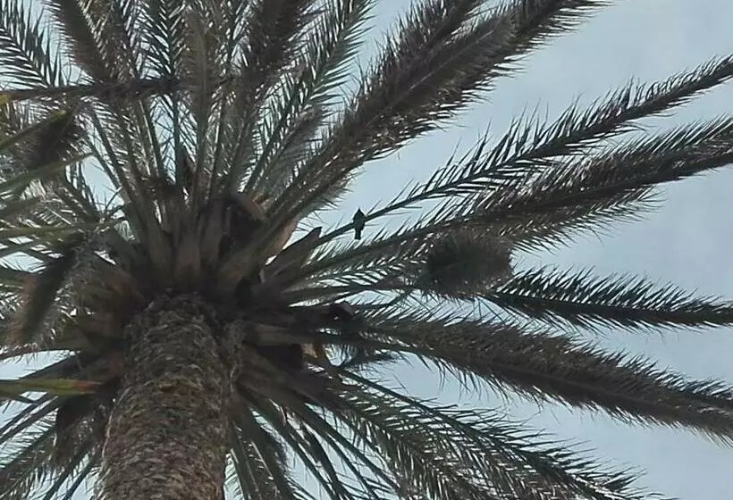 تختخواب و صبحانه Cocoi
