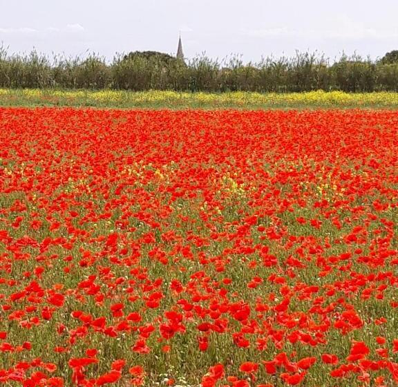 مبيت وإفطار Les Bois Flottés En Ré
