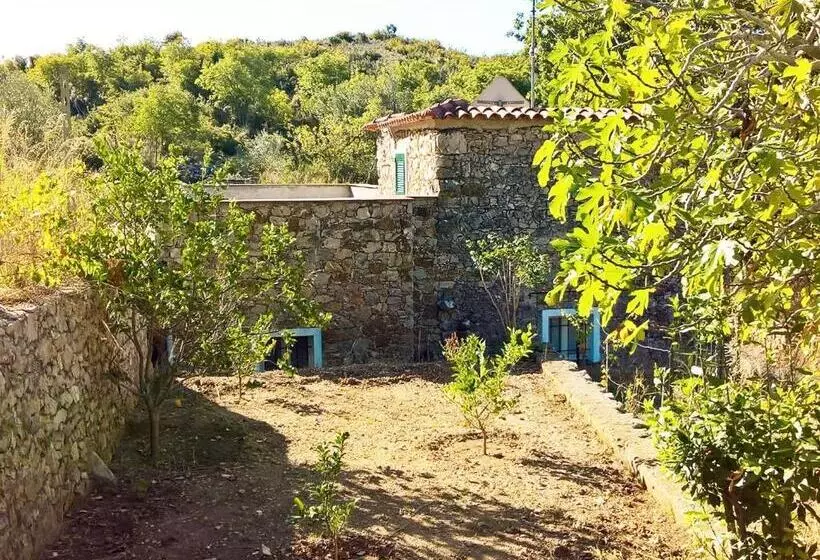 ベッドアンドブレックファースト Lucrae