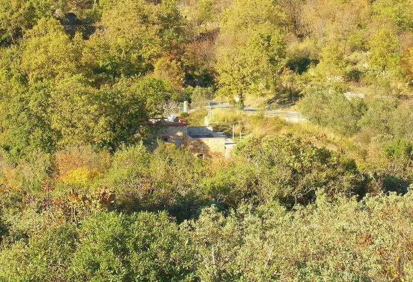 ベッドアンドブレックファースト Lucrae