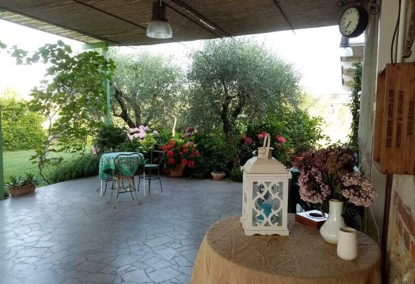 تختخواب و صبحانه Vecchio Casale Margherita