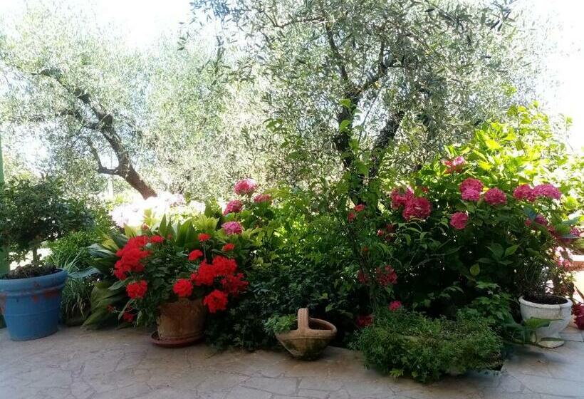 تختخواب و صبحانه Vecchio Casale Margherita