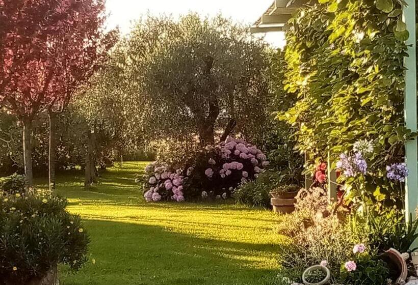 تختخواب و صبحانه Vecchio Casale Margherita