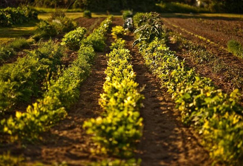 Отель Und Freizeitanlage Rauch Hof