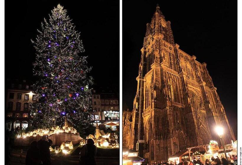 ベッドアンドブレックファースト La Cour Des Amis