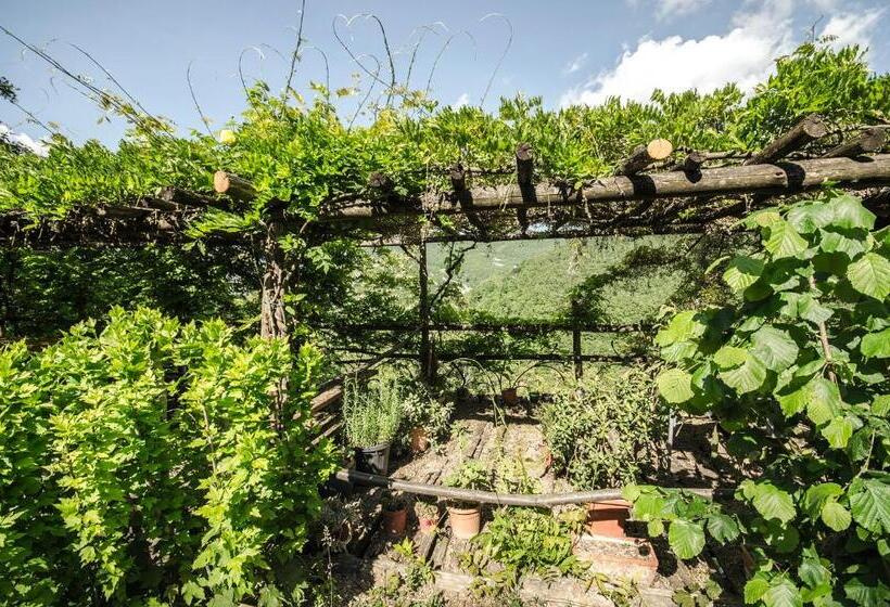 בית מלון כפרי Circolo Dell Orso