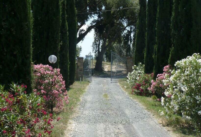 Отель La Sassetta