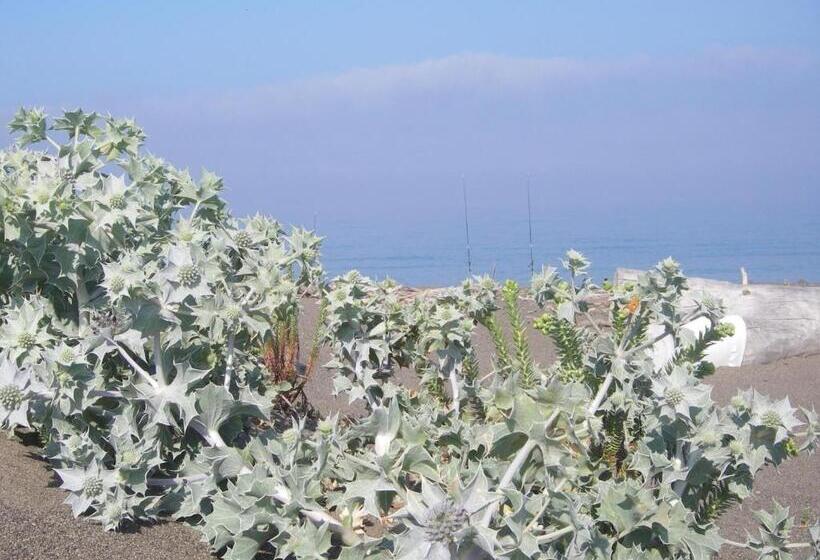 Отель La Sassetta